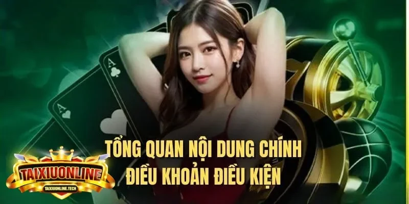 điều khoản và điều kiện điều khoản và điều kiện